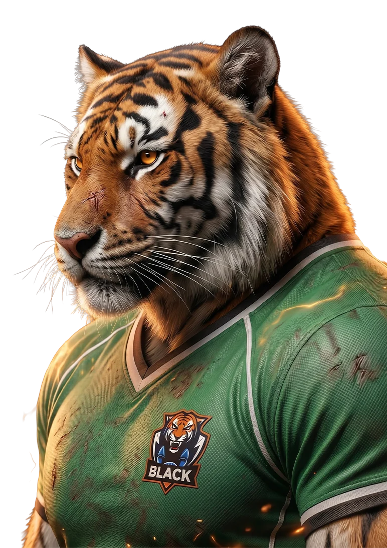 Equipe de Suporte Lucas Tiger